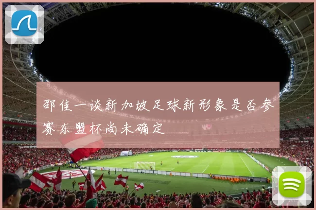 邵佳一谈新加坡足球新形象是否参赛东盟杯尚未确定